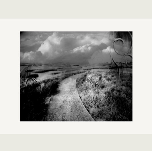 Storms Like Signposts 10/10