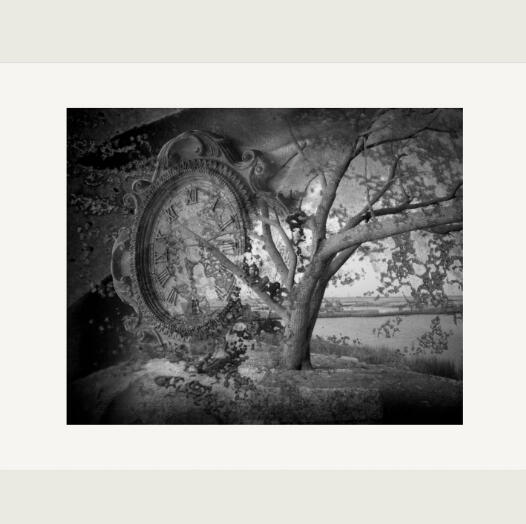 Storms Like Signposts 4/10