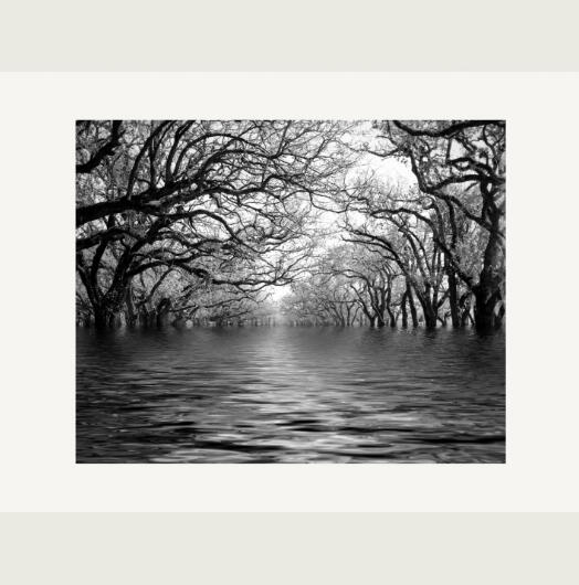 Storms Like Signposts 6/10