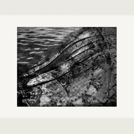 Storms Like Signposts 5/10