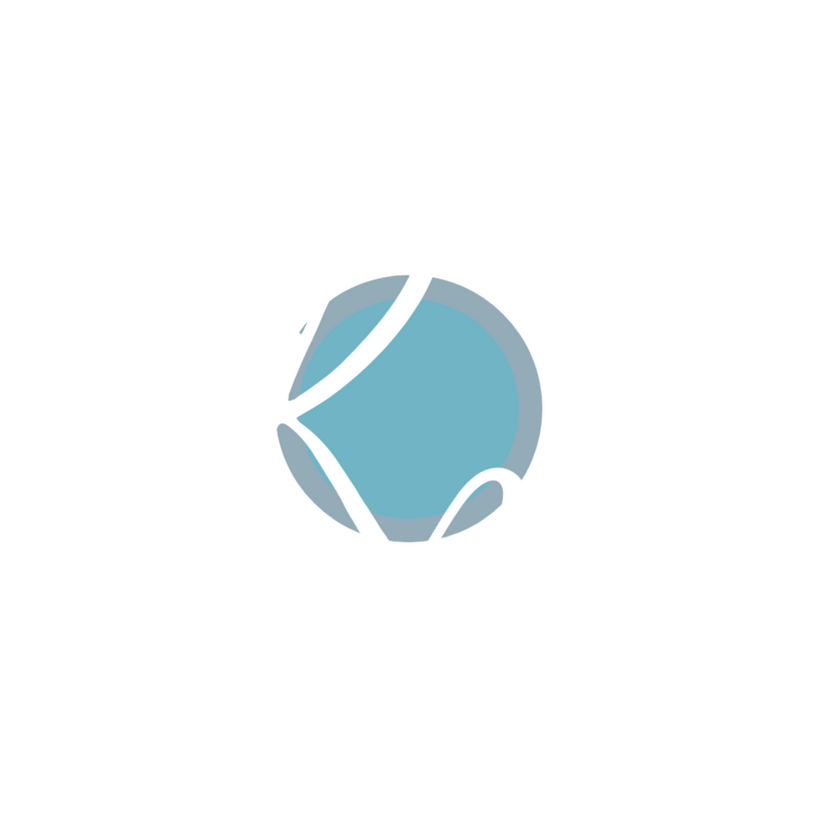 a logo depicting a simple camera outline shape with a blue lens and stylized white text, "Rx"